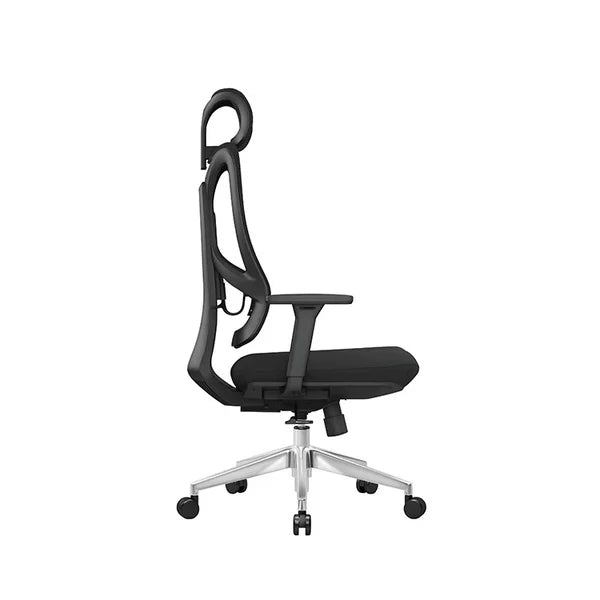 Adjustable Lumbar Support