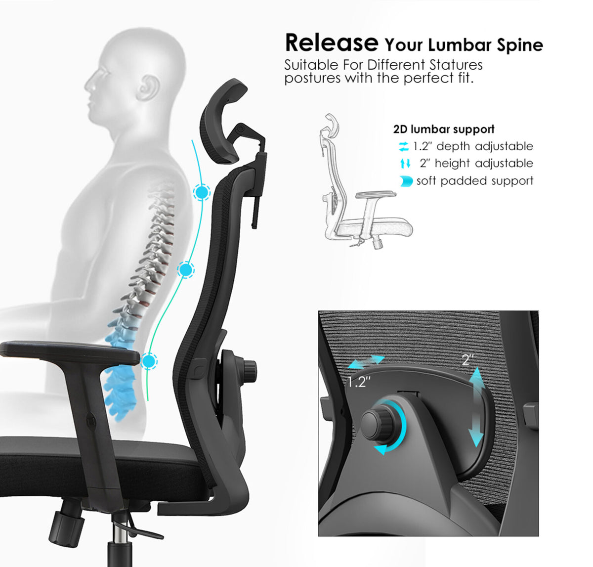2D Lumbar Smooth Support